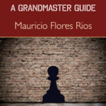 Chess Structures - A Grandmaster Guide by Mauricio Flores Rios