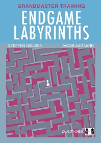 Endgame Labyrinths (Hardcover) by Jacob Aagaard and Steffen Nielsen